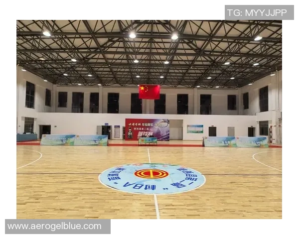 武汉篮球队个人能力深度解析与精彩表现全景展现