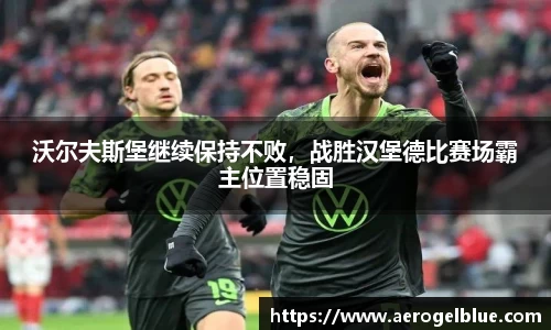 沃尔夫斯堡继续保持不败，战胜汉堡德比赛场霸主位置稳固