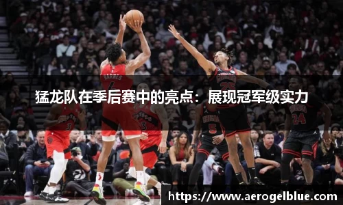 猛龙队在季后赛中的亮点：展现冠军级实力