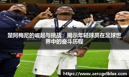 谈球吧